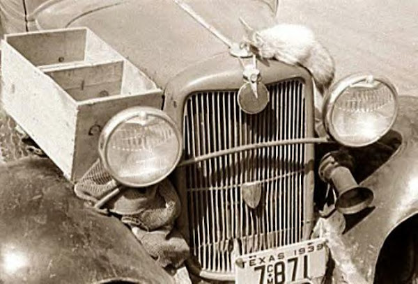 Front of fruit peddler's car, Texas, 1939
