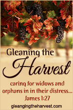 Gleaning the Harvest