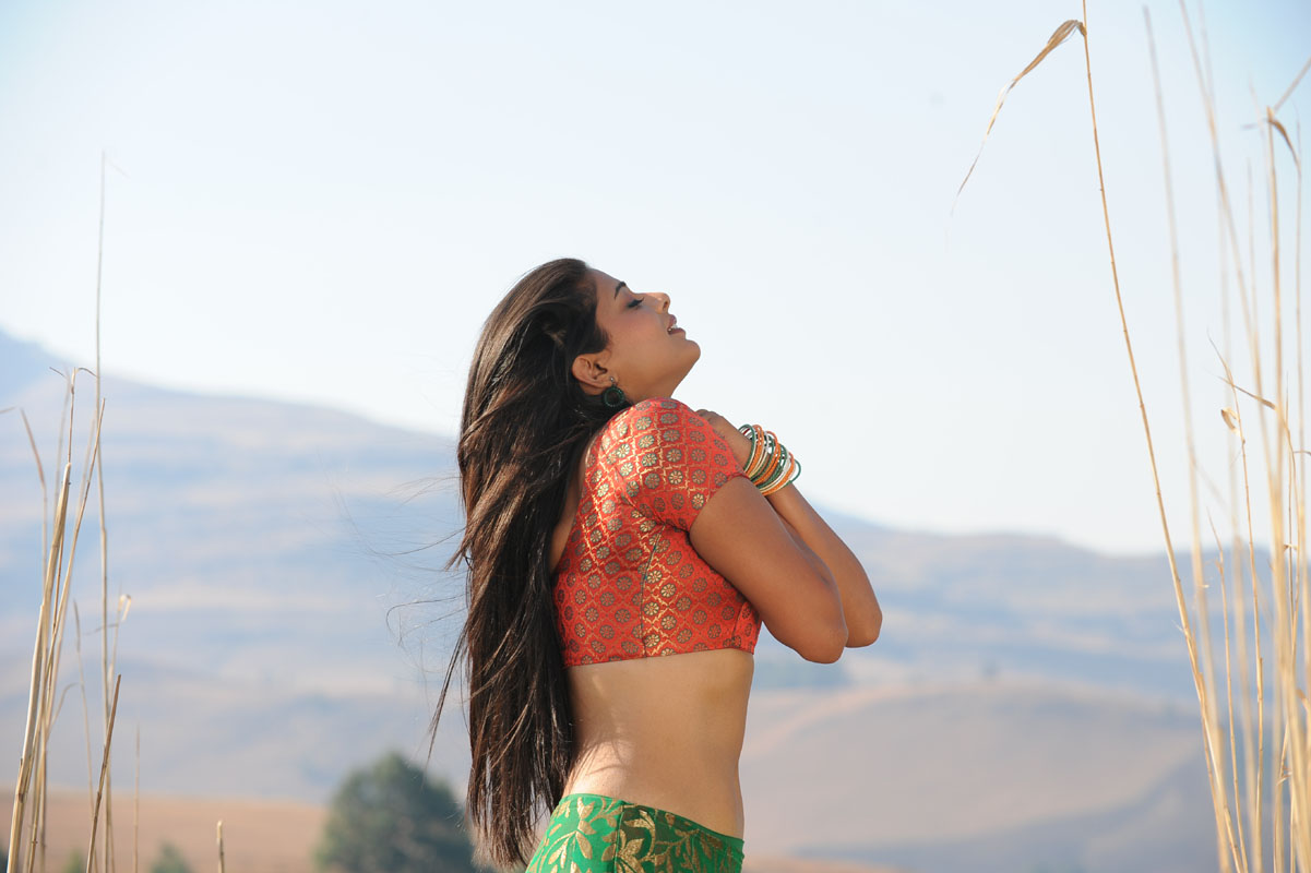 Priyamani_36-774501.jpg