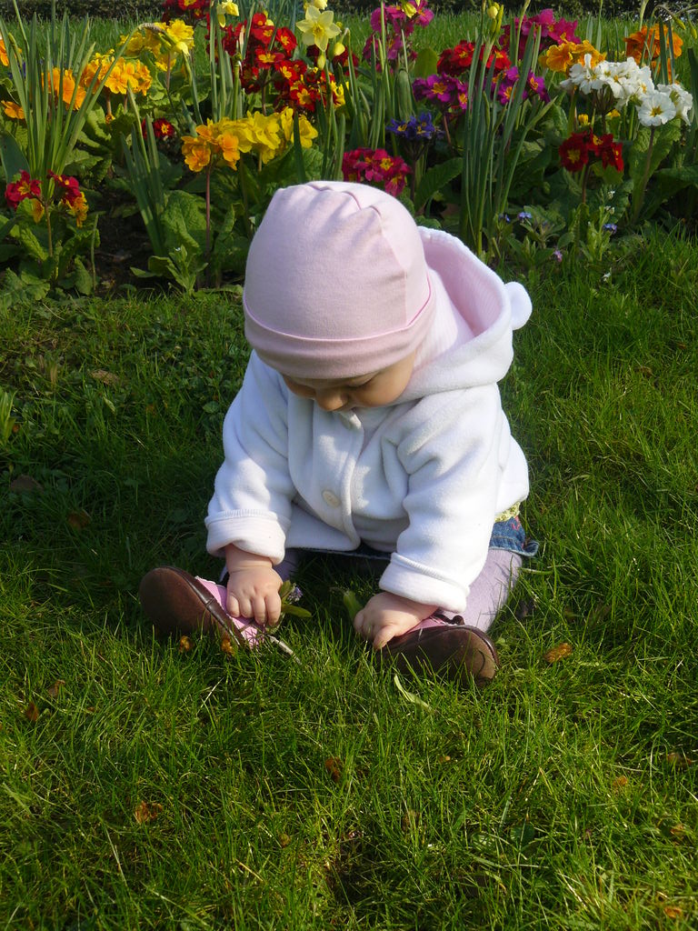 [P1060184_1.JPG]