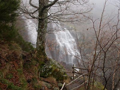 SANABRES: diciembre 2009