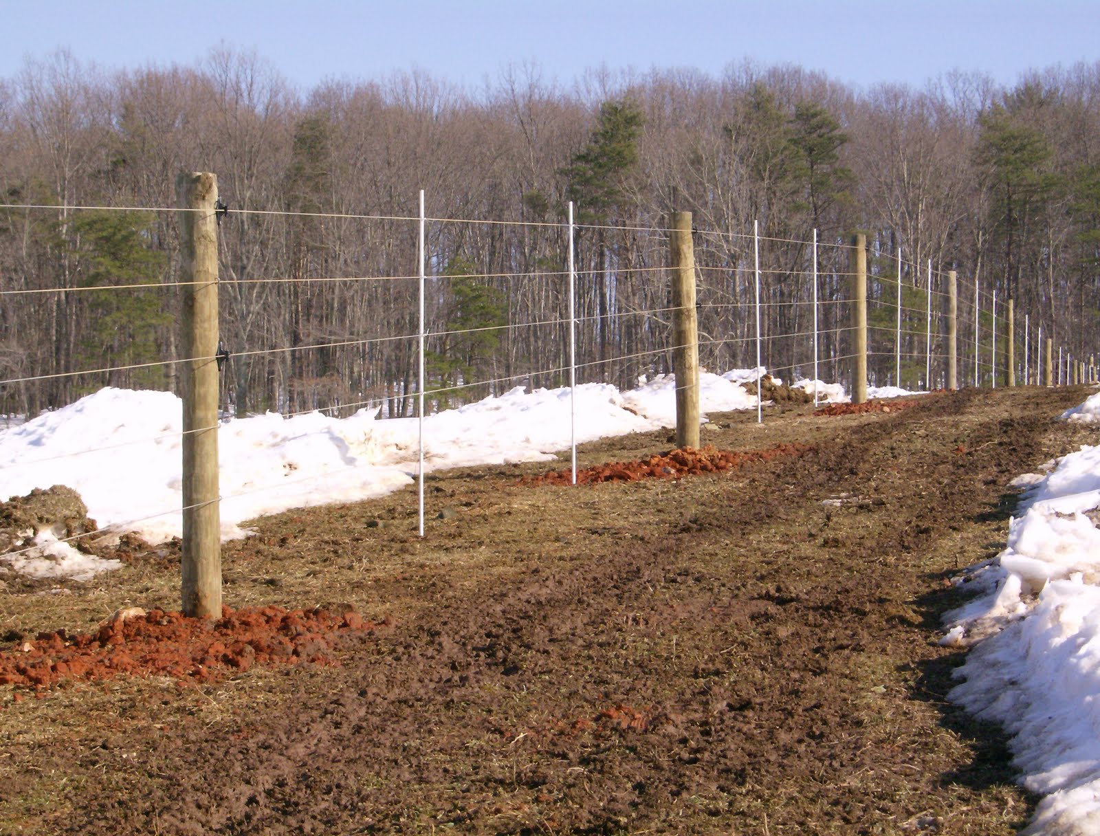 Larry Chattin & Sons Farm fencing