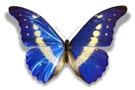 EU SOU UMA BORBOLETA !