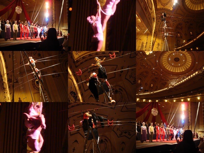 Studio Stuff: Circus Flora!!!!!!!!!