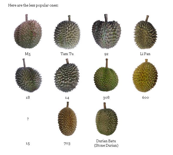 Sneak Peek Into A Life...: Simply Durian