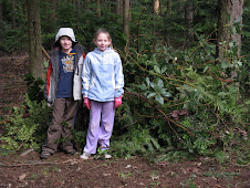 They helped clear brush