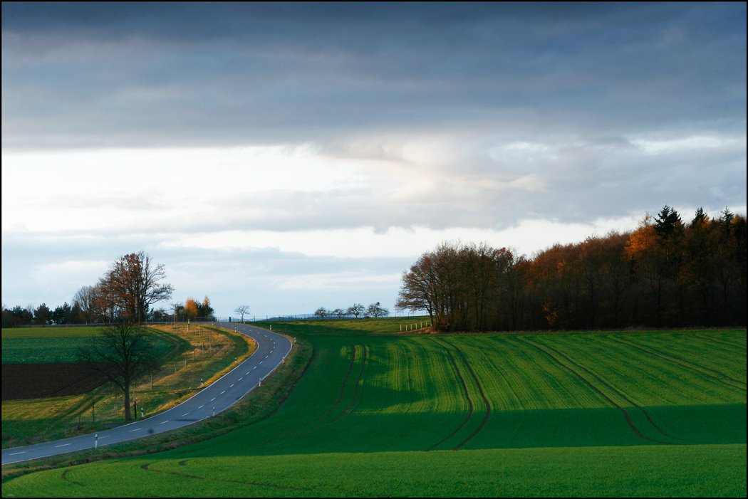 [Moesel-Rijngebied-2008.jpg]