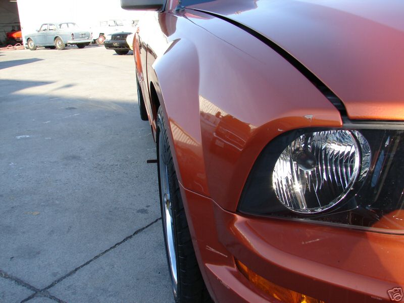[rezza foournito_MustangCut_13.JPG]