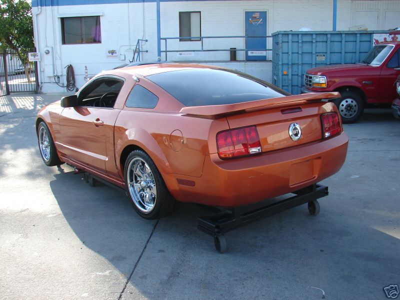 [rezza foournito_MustangCut_14.JPG]