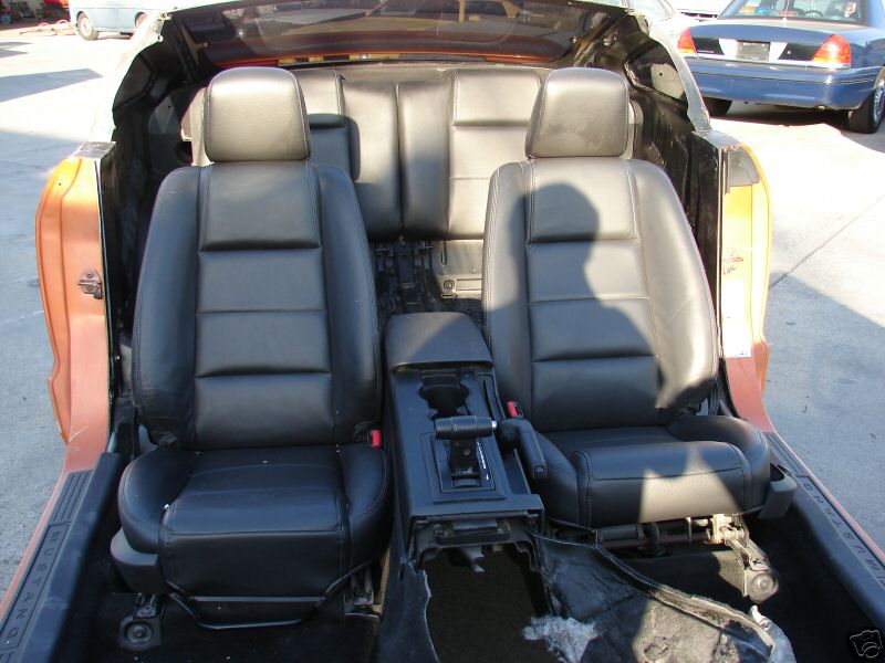 [rezza foournito_MustangCut_6.JPG]