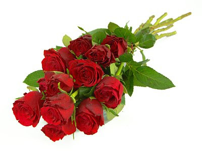 Gift red rose picture