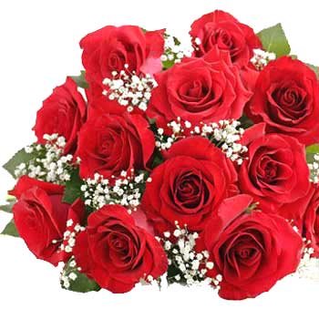 [RomanticOne+Dozen+Of+Red+Rose+picture.jpg]