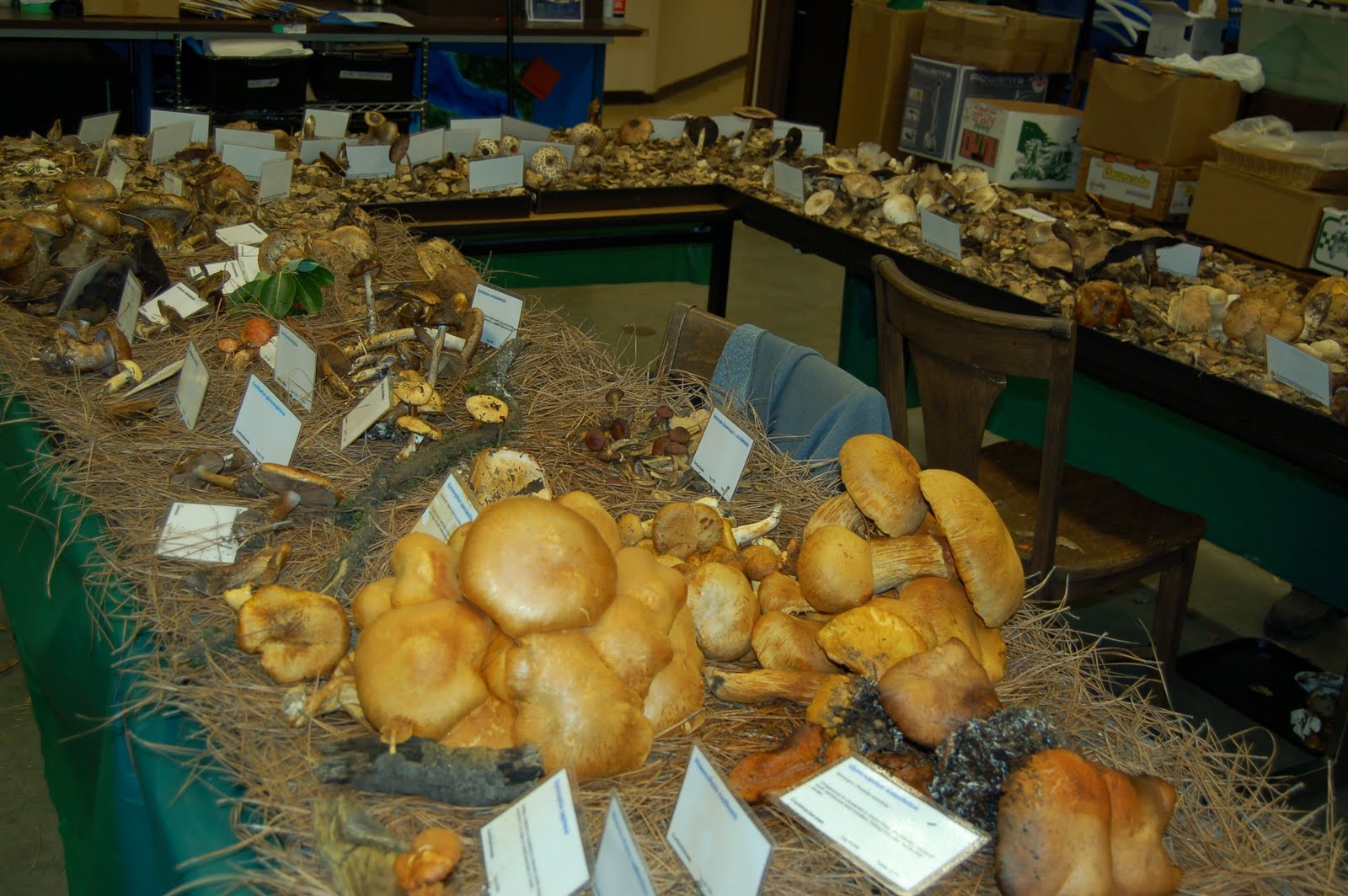 Karachi Photo Blog January 2011