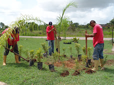 Fundaimagen realiza siembra de plantas en la universidad