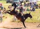 Suprise @ Crazy Horse, SD