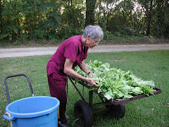 Yvonne washes the lettuce....