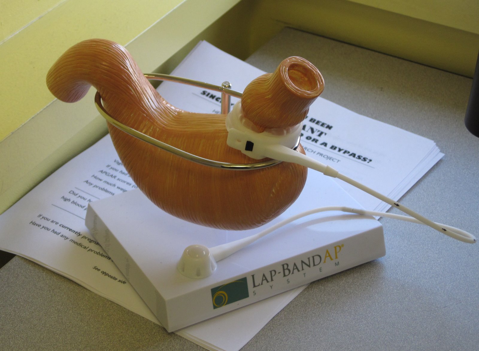 [Band+001.jpg]