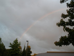 Rainbow on a gray Saturday