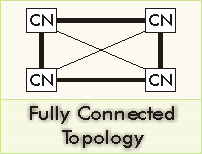 Fully Connected Networks