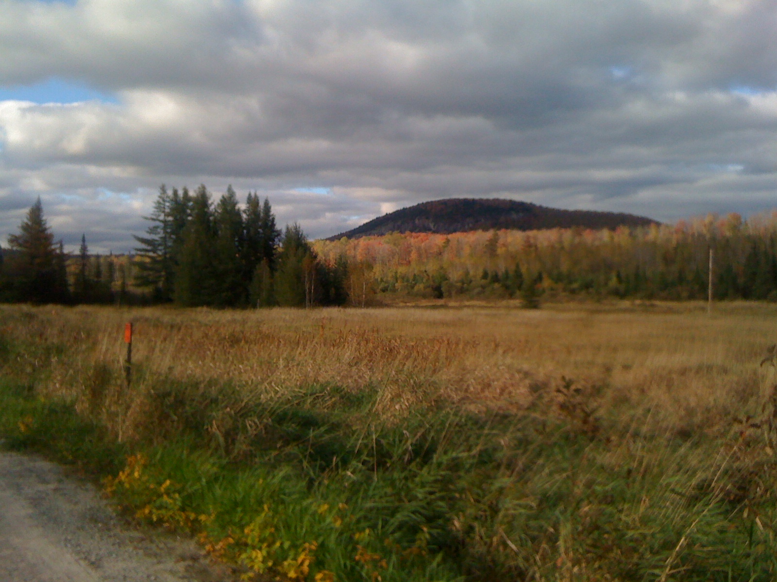 The Whim of the Great Magnet: 10-2-10 Groton Rail Trail
