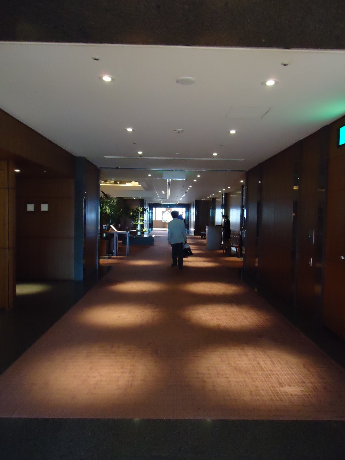 michael lost in translation... Park Hyatt Tokyo The Lost in Translation Experience