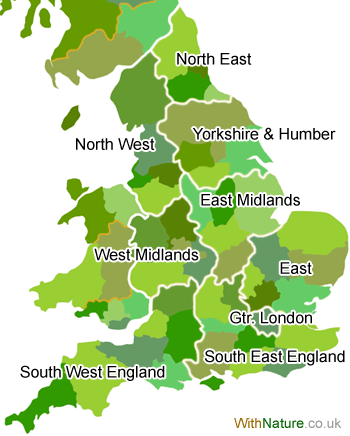 england regions cars within sales country
