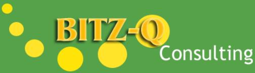 BITZ-Q Consulting