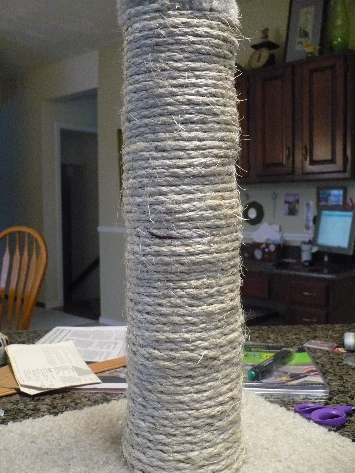 The Second Half of My Life February 2011