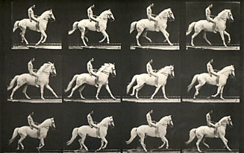 [PHOTO-ANIMAL-LOCOMOTION-MUYBRIDGE-WHITE-HORSE.jpg]