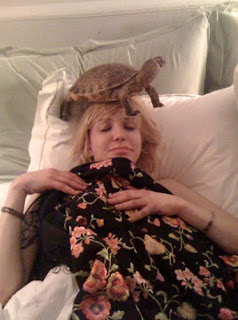 http://4.bp.blogspot.com/_Fy2W3RIAYsw/TI8mnNFmaJI/AAAAAAAABGM/AJO7HbhCKFE/s640/Courtney-Love-Turtle-Sleep.jpg