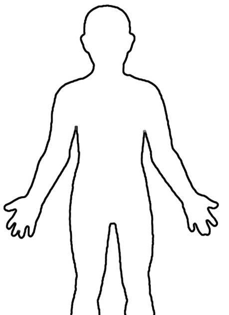 sketch outline of human body