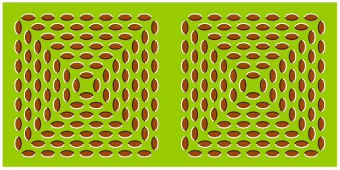 [optical_illusions_18.jpg]