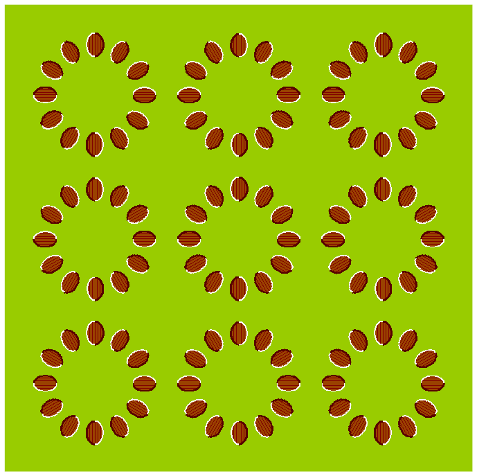 [optical_illusions_01.gif]