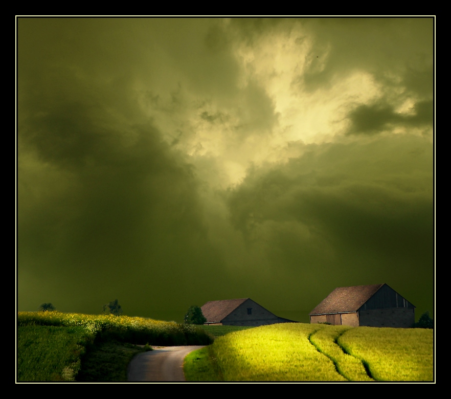 [corn_fields_06.jpg]
