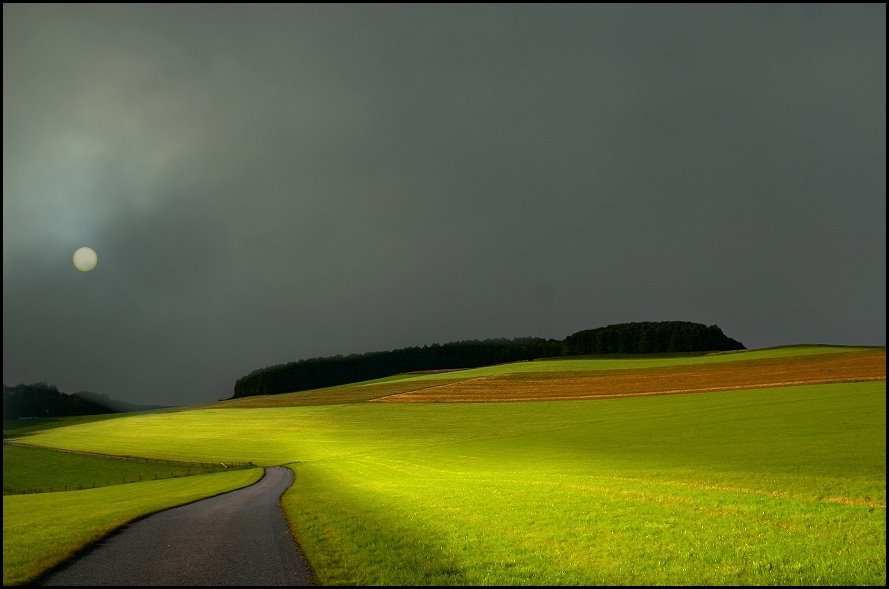 [corn_fields_07.jpg]