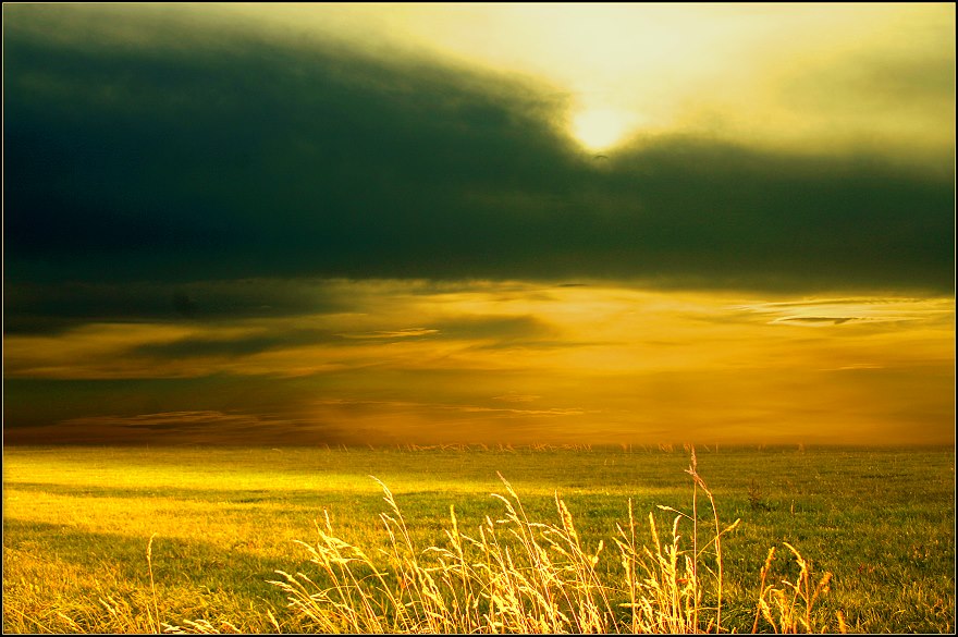 [corn_fields_04.jpg]