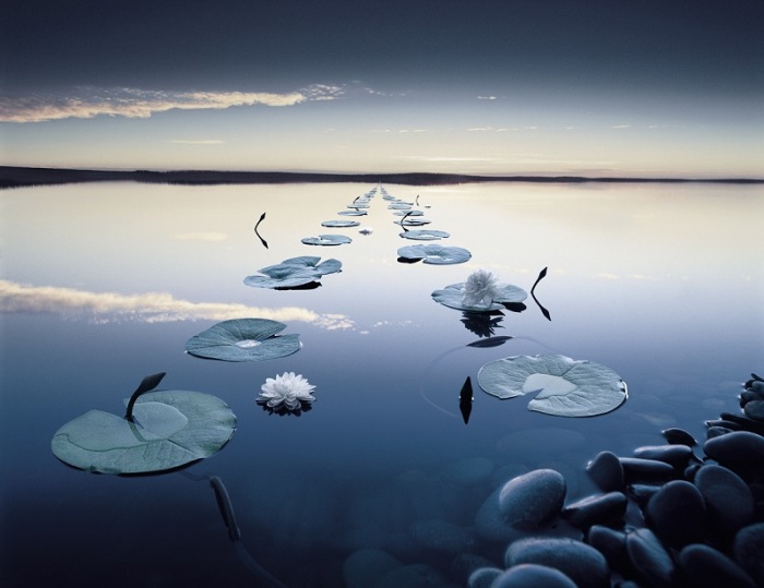 [christophe_gilbert_visual_art_81.jpg]
