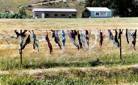 [Cardrona_Bra_Fence_05.jpg]