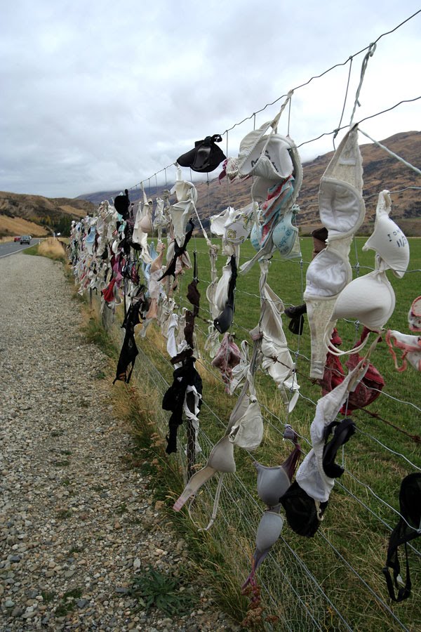 [Cardrona_Bra_Fence_01.jpg]