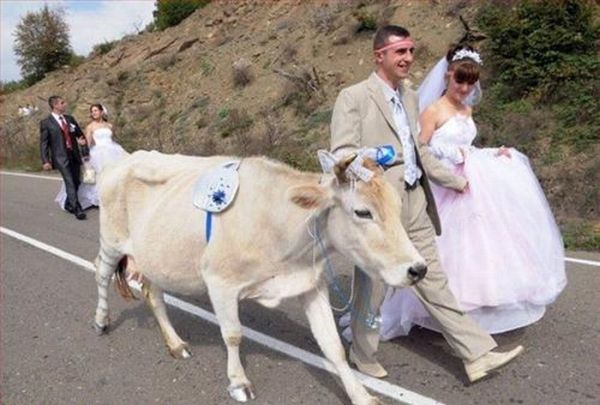 [funny_wedding_pictures_83.jpg]