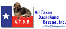 HELPING DACHSHUNDS ALL OVER TEXAS