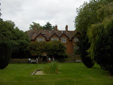 Back of the Vines