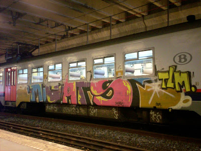 MCats TLM graffiti art