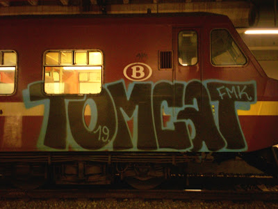 Tomcat Fmk