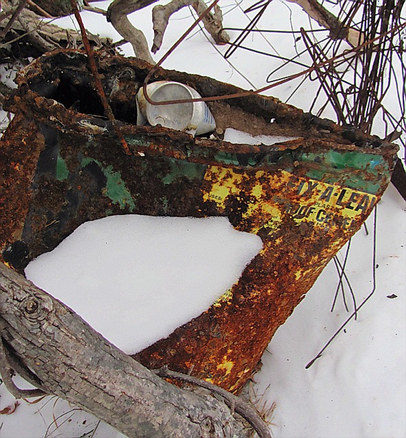 Upstate Oddities Tin Can Valley