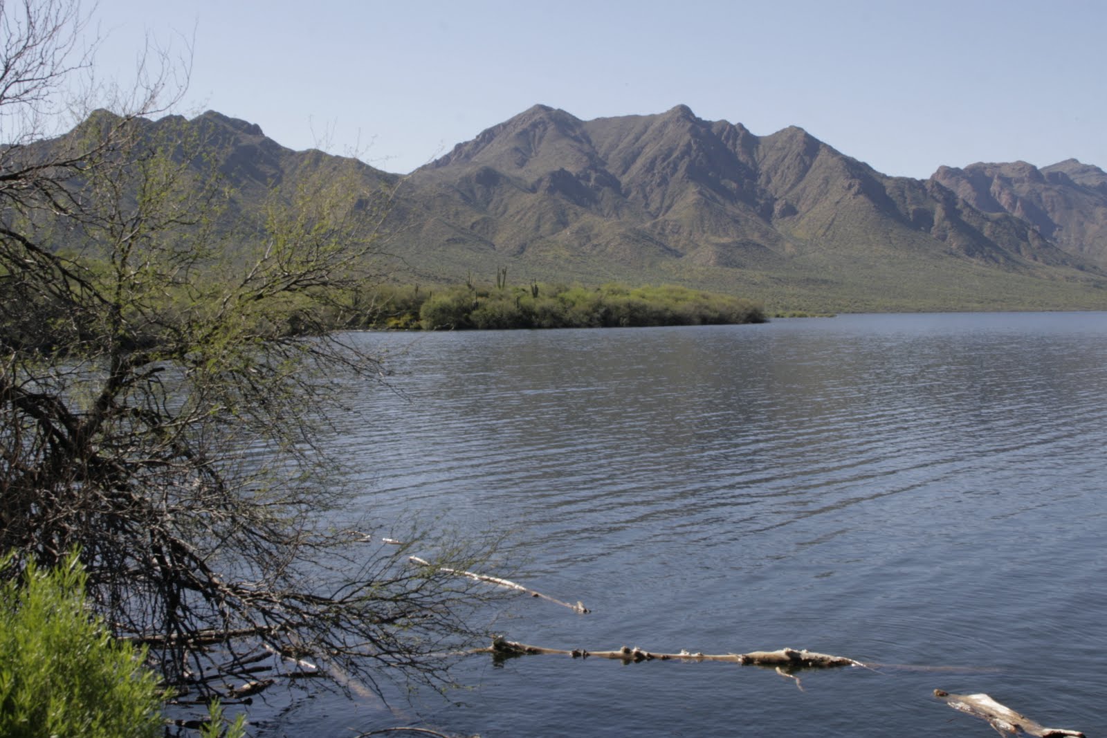 Darren's Rides Horseshoe Lake Arizona