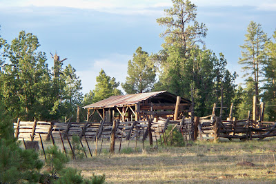 Trucks Only Mesa Az >> Darren's Rides: Old Cattle Corral Trucks Only Mesa Az >> Darren's Rides: Old Cattle Corral