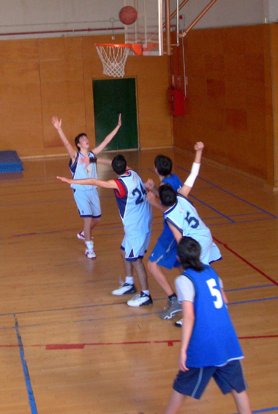 [celeste+basket+10.JPG]