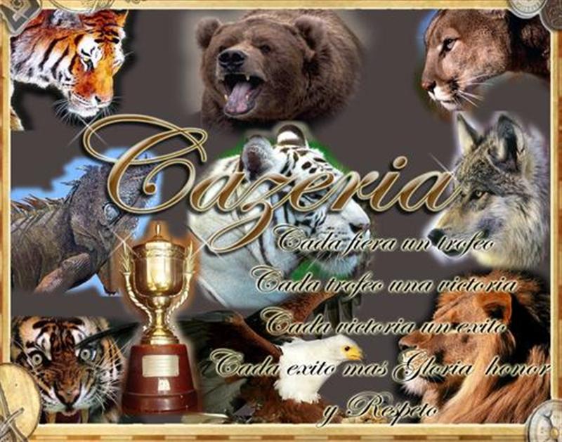 [asdasdas+(Medium).jpg]