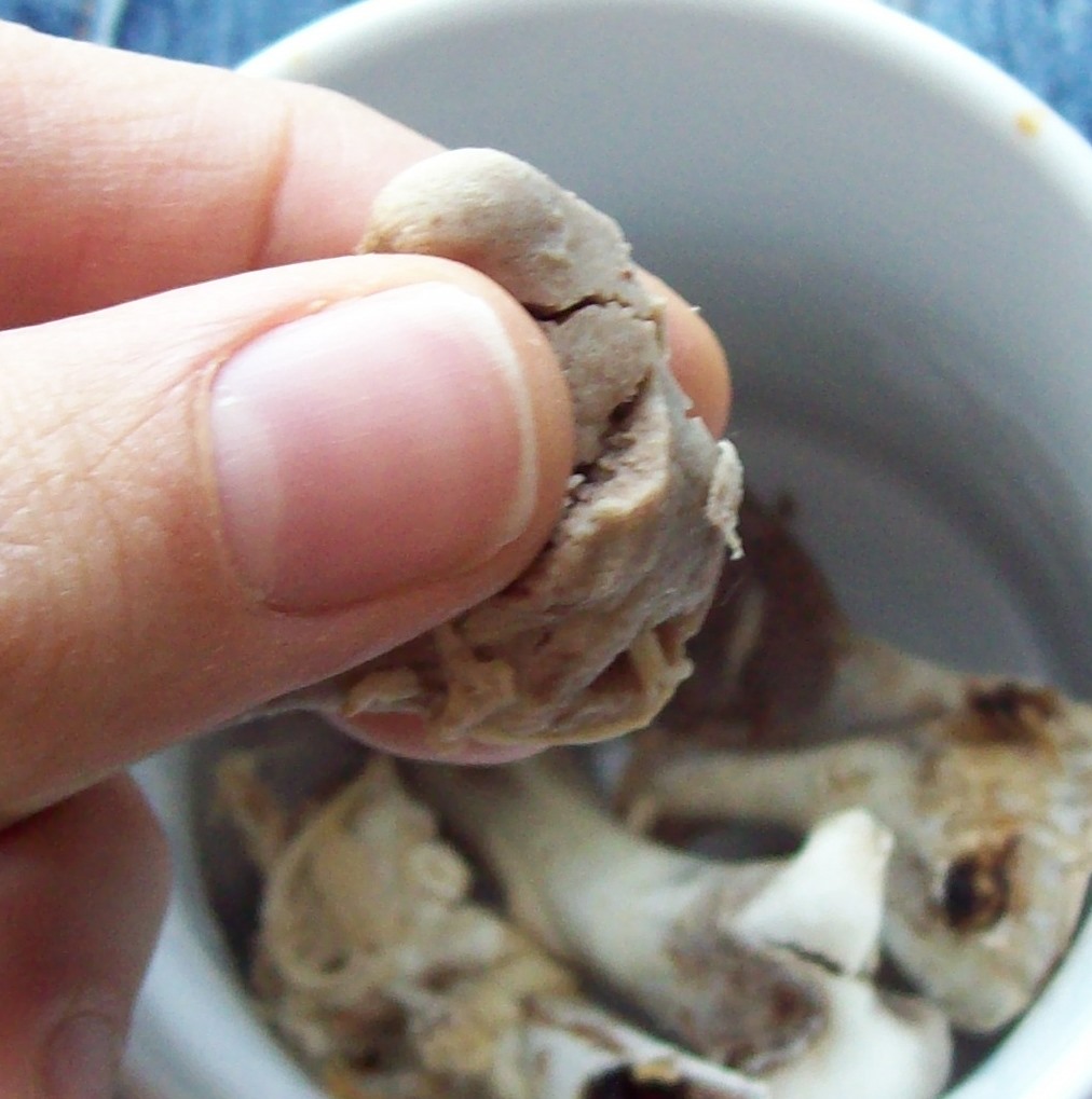 [crushed+stock+bone+chicken.jpg]